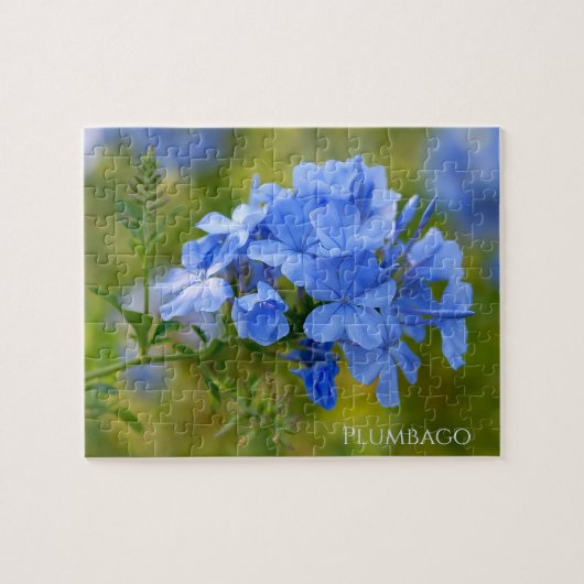 Plumbago - Blue Summer Flowers Floral Photography Legpuzzel (Horizontaal)