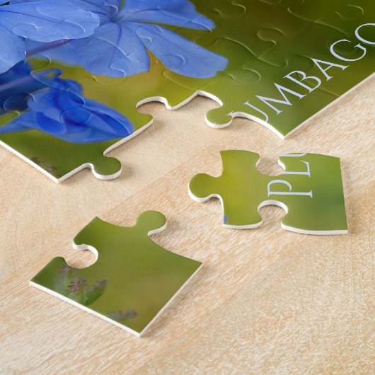 Plumbago - Blue Summer Flowers Floral Photography Legpuzzel (Zijkant)