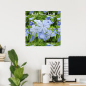 Plumbago Flower Blue Poster (Thuiskantoor)