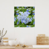 Plumbago Flower Blue Poster (Keuken)