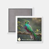 "Plumed Beauty" Magneet (Voorkant / Achterkant)