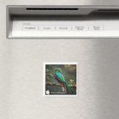 "Plumed Beauty" Magneet (Insitu (Vaatwasser))