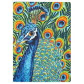 Plumed Peacock I Klembord (Achterkant)