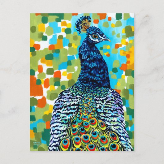 Plumed Peacock II Briefkaart (Voorkant)