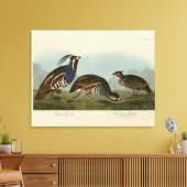 Plumed & Thick-legged Partridges - Audubon's vogel Canvas Afdruk (Insitu (Woonkamer))