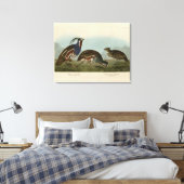 Plumed & Thick-legged Partridges - Audubon's vogel Canvas Afdruk (Insitu (Slaapkamer))