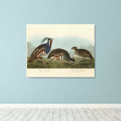 Plumed & Thick-legged Partridges - Audubon's vogel Canvas Afdruk (Insitu (Houten vloer))
