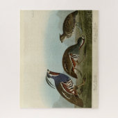 Plumed & Thick-legged Partridges - Audubon's vogel Legpuzzel (Verticaal)