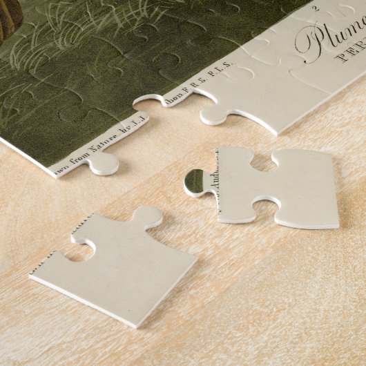 Plumed & Thick-legged Partridges - Audubon's vogel Legpuzzel (Zijkant)