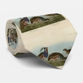 Plumed & Thick-legged Partridges - Audubon's vogel Stropdas (Opgerold)