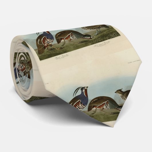 Plumed & Thick-legged Partridges - Audubon's vogel Stropdas (Opgerold)