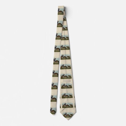 Plumed & Thick-legged Partridges - Audubon's vogel Stropdas (Achterkant)