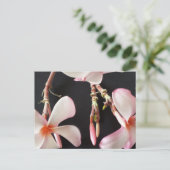 Plumeria 2-educatieve brainfart briefkaart (Staand voorkant)