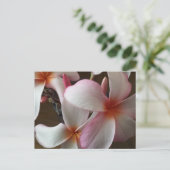 Plumeria 3 - opgeleide brainfart briefkaart (Staand voorkant)