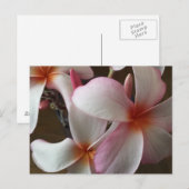 Plumeria 3 - opgeleide brainfart briefkaart (Voorkant / Achterkant)