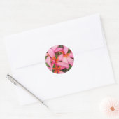 Plumeria - Ace Neon roze Sticker (Envelop)