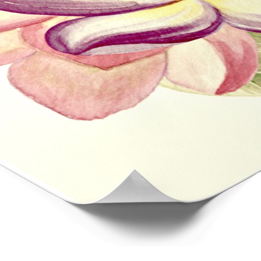 Plumeria Aloha Poster (Hoek)