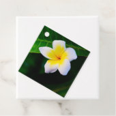plumeria bedankjes labels (In situ)