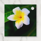 plumeria bedankjes labels (Achterkant)
