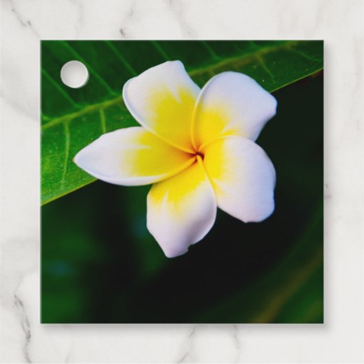 plumeria bedankjes labels (Voorkant)