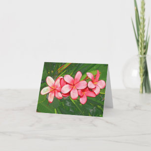 plumeria bedankkaart