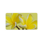 Plumeria Bedrijfsadres/Verzendlabels Etiket (Voorkant)