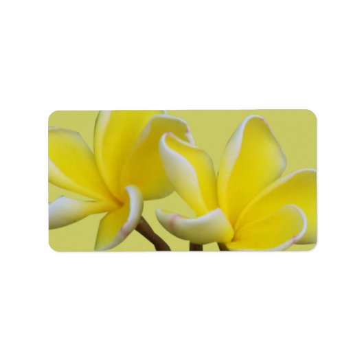Plumeria Bedrijfsadres/Verzendlabels Etiket (Voorkant)