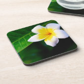 Plumeria Bier Onderzetter (Linkerzijde)