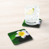 Plumeria Bier Onderzetter (Rechterzijde)