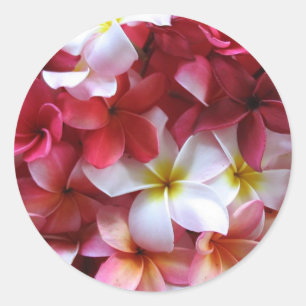 Plumeria Bloem Cluster Boeket Ronde Sticker