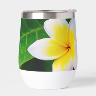 Plumeria Bloem Fotografie