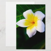 Plumeria Bloem Fotografie Briefpapier (Voorkant / Achterkant)