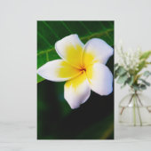 Plumeria Bloem Fotografie Briefpapier (Staand voorkant)