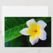 Plumeria Bloem Fotografie Briefpapier (Voorkant / Achterkant)