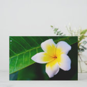 Plumeria Bloem Fotografie Briefpapier (Staand voorkant)