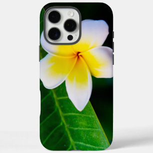 Plumeria Bloem Fotografie iPhone 16 Pro Max Hoesje