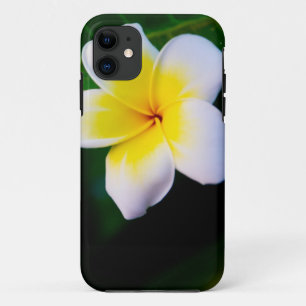 Plumeria Bloem Fotografie iPhone 11 Hoesje