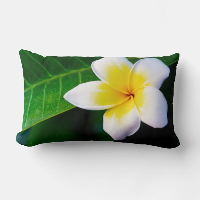 Plumeria Bloem Fotografie Kussen (Voorkant)