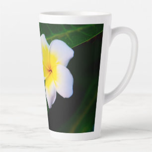 Plumeria Bloem Fotografie Latte Mok
