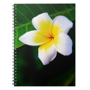 Plumeria Bloem Fotografie Notitieboek