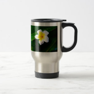 Plumeria Bloem Fotografie Reisbeker