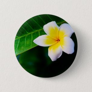 Plumeria Bloem Fotografie Ronde Button 5,7 Cm