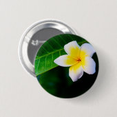 Plumeria Bloem Fotografie Ronde Button 5,7 Cm (Voorkant /achterkant)