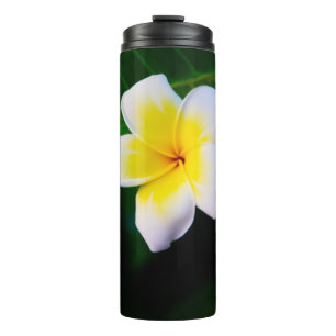 Plumeria Bloem Fotografie Thermosbeker
