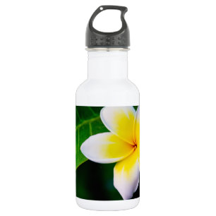 Plumeria Bloem Fotografie Waterfles