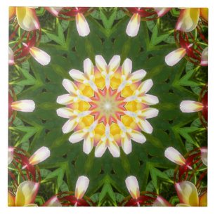 Plumeria Bloem Mandala met Tropische Symmetrie Tegeltje