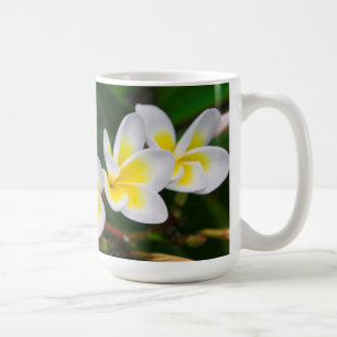 Plumeria bloemen close-up, Hawaï Koffiemok