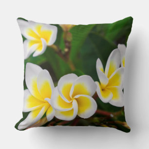 Plumeria bloemen close-up, Hawaï Kussen