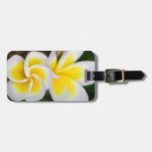 Plumeria bloemen close-up Hawaii Bagagelabel (Voorkant horizontaal)