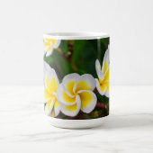 Plumeria bloemen close-up Hawaii Koffiemok (Center)